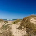 Marena Oliva Nova
