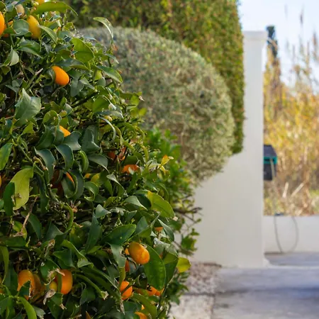 Casa vacanze Marena Oliva Nova