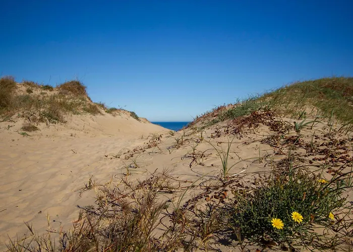 Marena Oliva Nova Vakantiehuis *